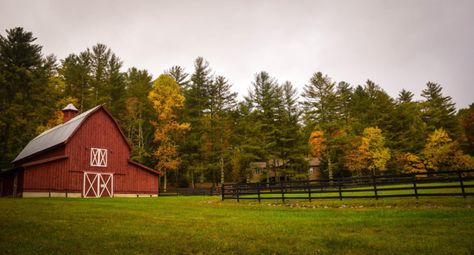 20 Most Beautiful Farm Background Wallpaper of 2022 - Farmhacker.com Livingston Texas, Printable Posters Wall Art, Farm Images, Barn Photography, Farm Pictures, Barn Pictures, Alpaca Farm, Beautiful Farm, Farm Photo