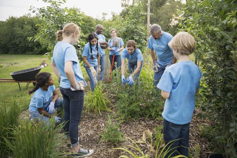 Discover Christian environmental organizations that help us understand the importance of environmental stewardship. Volunteering Ideas, Environmental Studies, Environmental Education, Environmental Conservation, Nature Conservation, Endangered Animals, Public Policy, Environmental Science, Daily Devotional