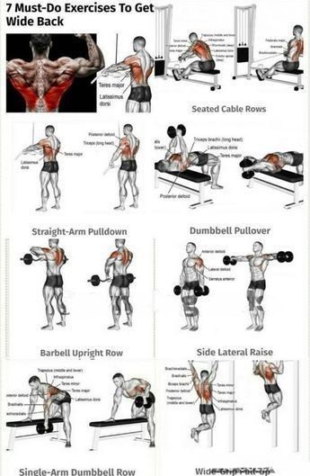 Back Weight Exercises, Back Workout Routine, Shoulder Workout Routine, Good Back Workouts, Gym Workouts For Men, Workout Posters, Muscle Building Workouts, Weight Training Workouts, Triceps Workout