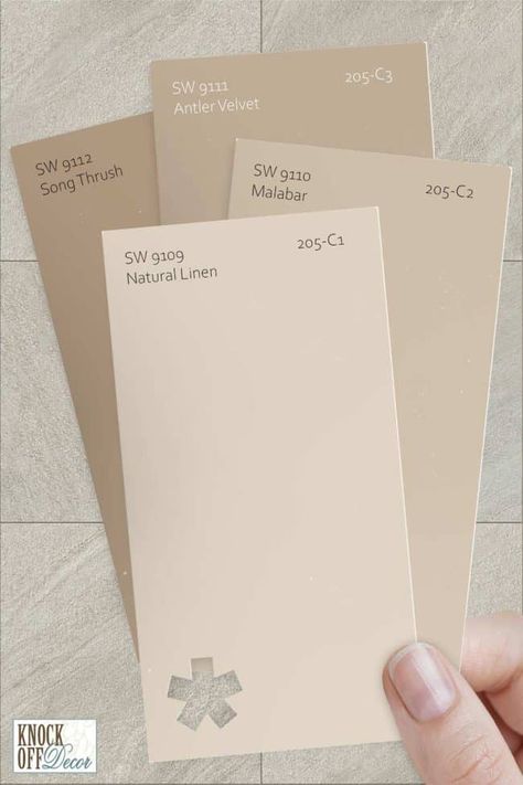 Sherwin Williams Mocha Paint, Neutral Bright Paint Colors, Sw 6085 Simplify Beige, Beige Paint Palette, Driftscape Tan Paint, Sherwin Williams Sackcloth, Light Khaki Paint Color, She Twin Williams Natural Linen, Linen Colored Walls