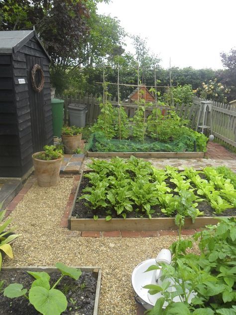 Allotment garden inspiration | Hello Victoria Raised Garden Bed Plans, Edging Plants, Vegetable Garden Raised Beds, Allotment Gardening, Small Vegetable Gardens, Vegetable Garden For Beginners, Potager Garden, Backyard Vegetable Gardens, Raised Garden Beds Diy