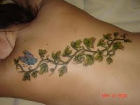 Ivy Tattoo Designs And Meanings-Ivy Flower Tattoos And Vine Tattoos | HubPages Tattoo Vines For Women, Ivy Tattoo Vines For Women, Ivy Tattoos, Tattoo Vines, Poison Ivy Tattoo, Tattoo Dos, Ivy Tattoo, Tattoo Off, Girl Back Tattoos