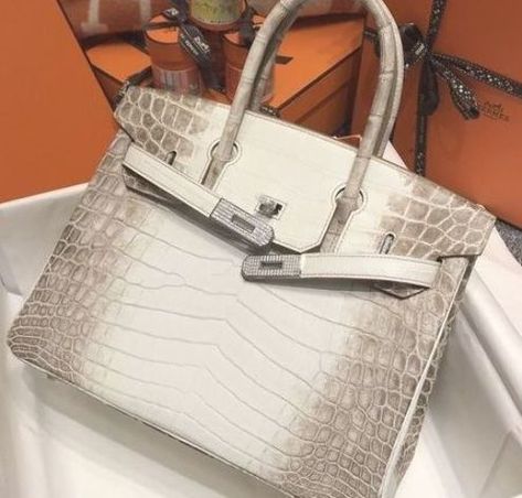 Luv Bag, Himalayan Birkin, Crocodile Birkin Bag, Luxury Purchases, Hermes Crocodile Bag, Handbag Closet, Birkin Bags, Estilo Kylie Jenner, Bag Obsession