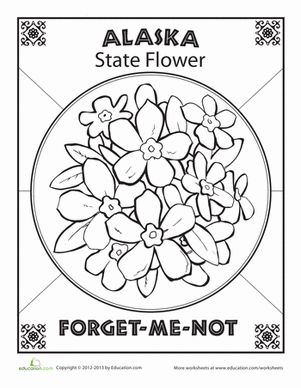 Alaska State Flower | Worksheet | Education.com State Worksheets, State Report Projects, Flower Worksheet, Alaska State Flower, Vacation Journal, Alaska Art, Sabbath School, Color Sheets, State Symbols