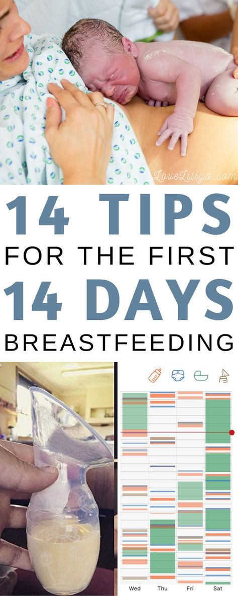 Breastfeeding Schedule By Age, Thompson Method Breastfeeding, Pitcher Method Breastfeeding, Breastfeeding Tips For Beginners, How Often To Breastfeed By Age, Newborn Things, Newborn Breastfeeding Tips, Breastfeeding Quotes, Newborn Breastfeeding