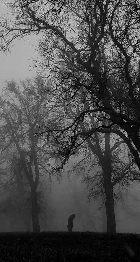 Demons Wallpaper Dark, Darkness Asthetic, Athestic Pics Dark, Vampire Writing, Scary Photography, Horror Vampire, Dark Grunge Aesthetic, Dark Forest Aesthetic, Dark Images