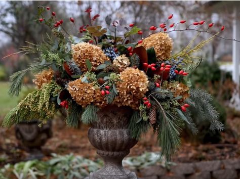 Winter Flower Boxes, Outdoor Winter Planter Ideas, Winter Arrangements Outdoor, Winter Hydrangea Arrangement, Winter Outdoor Pot Arrangements, Garden Answer, Outdoor Winter Arrangements Planters, Best Flowers For Winter Sowing, Foraged Winter Arrangement