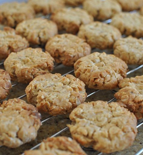 Honey Biscuit Recipe, Oat Biscuit Recipe, Biscuit Recipes Uk, Healthy Oat Cookies, Honey Oatmeal Cookies, Honey Biscuits, Oat Biscuits, Oatmeal Biscuits, Oat Cookie Recipe