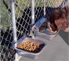 Automatic Dog Waterer | Dog Bowls & Heaters | Nelson Mfg Automatic Dog Waterer, Automatic Waterer, Dog Kennel Cover, Dog Equipment, Dog Area, Dog Rooms, Best Dog Food, Dog Feeder, Dog Fence