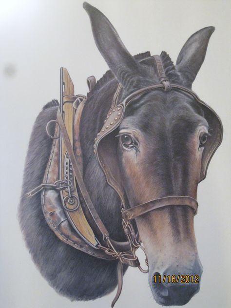 Mule Artwork, Mule Painting, Western Art Projects, Appalachian Heritage, Draft Mule, Mules Animal, Donkey Cart, Deer Stencil, Belgian Draft Horse