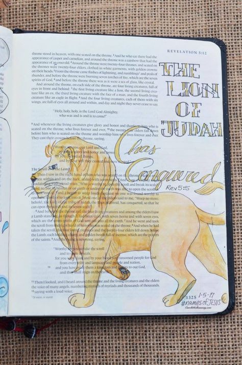 Bible Journaling Revelation, Revelation Bible Journaling, Illustration Bible, Revelation 5, Bible Journaling For Beginners, Revelation Bible, Bible Drawing, Journal Bible, Bible Journaling Ideas Drawings