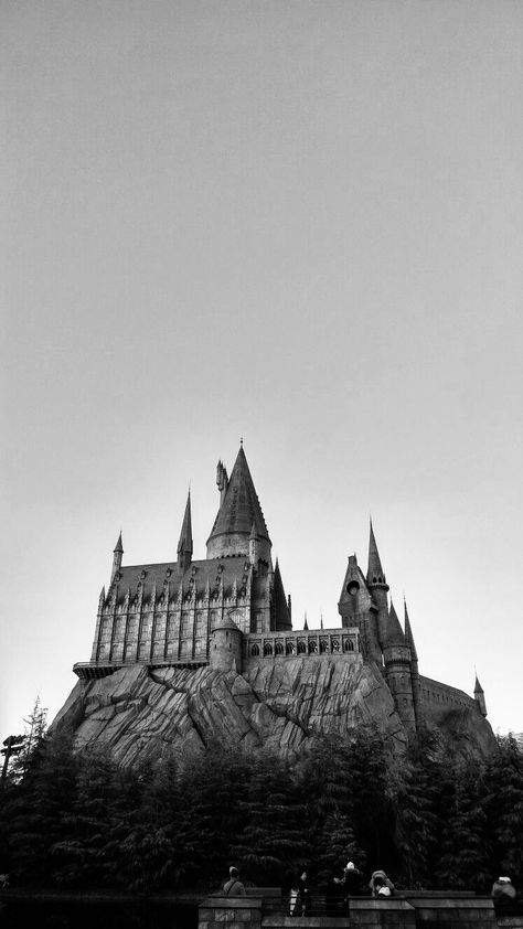 Aesthetic Wallpaper Harry Potter, Harry Potter Black And White, Gothic Academia, Harry Potter Wallpaper Phone, Anime Sasuke, Harry Potter Wall Art, Harry Potter Travel, Harry Potter Phone, Harry Potter Hogwarts Castle