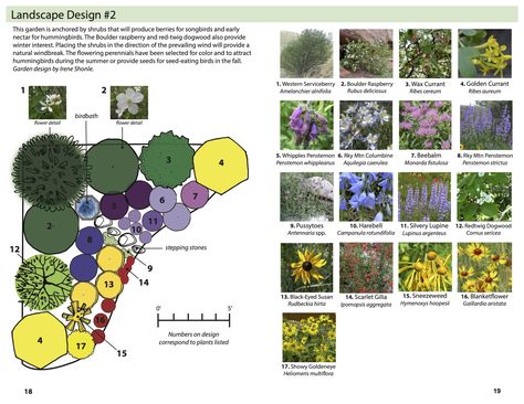 Planting Design Plan, Garden Drawings, Native Plant Landscape, Flower Garden Plans, Landscape Design Drawings, Hillside Garden, Planting Plan, Garden Drawing, Garden Design Plans