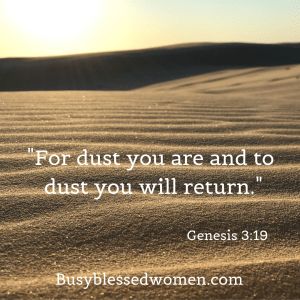 Dust To Dust Quotes Ashes To Ashes, Ashes To Ashes Dust To Dust Tattoo, Ashes To Ashes Dust To Dust, Ash Wednesday Service, Genesis 3 19, Confession Prayer, Ashes To Ashes, Jesus Sacrifice, Wall Of Sound