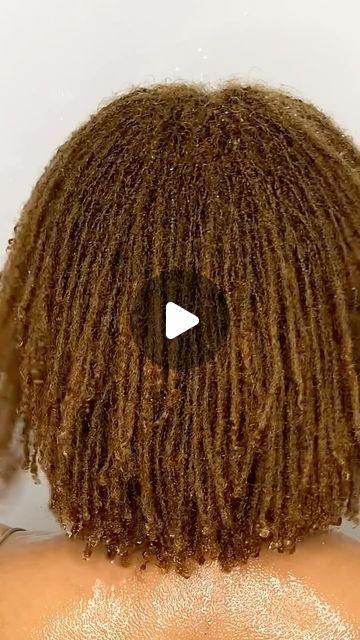 22K views · 1.5K likes | Liliane Ford  ||  M I C R O L O C S  M A Y H E M  &  M O R E on Instagram: "🔥 TAG a friend who keeps saying they getting LOCS but STILLLLL ain’t got em! 👀 🔥 LOL   👉🏾How long did it take you to decide to go ahead and get locs? For me it was 10 years 🥴  My only regret is not starting them sooner ! 💁🏽‍♀️  • • • • • #sisterlock #prettylocs #goldielocs #microlocstyles #locdwomen" Honey Blonde Locs Black Women, Blonde Sisterlocks, Long Micro Locs, Micro Locs Vs Sister Locs, Colored Sisterlocks, 2 Strand Twist Locs Style, Micro Locks, Sisterlocks Styles, Loc Inspiration