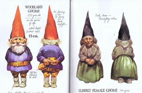 Gnomes: A whole world of whimsy | Morsels from a Bookworm Gnomes Book, Tema Disney, Humanoid Creatures, Elephant Journal, Ange Demon, Dutch Painters, Gnome Garden, Christmas Gnome, Favorite Books