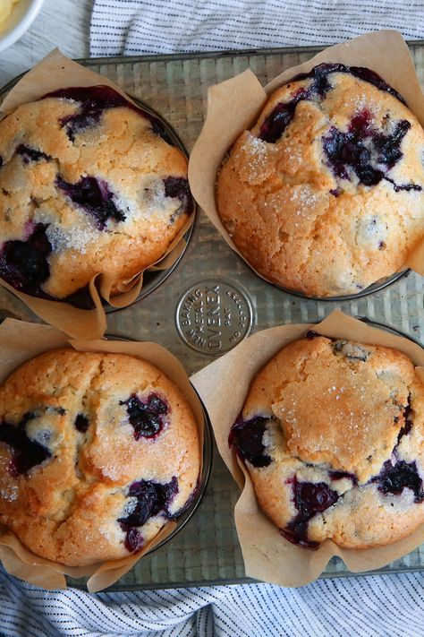 Wild Blueberry Muffins, Wild Blueberry Recipes, Jordan Marsh Blueberry Muffins, Cut Sugar, Muffins Blueberry, Glory Muffins, Best Blueberry Muffins, Moist Muffins, Muffin Recipes Blueberry