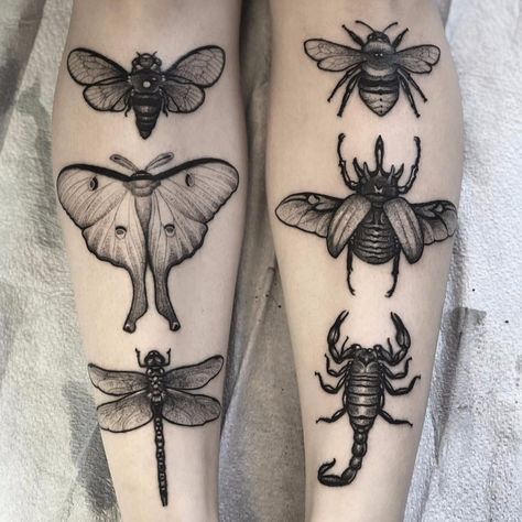 Moth Tattoo Design, Beetle Tattoo, Bug Tattoo, Insect Tattoo, Moth Tattoo, Tattoo Portfolio, Bee Tattoo, Dream Tattoos, Nature Tattoos