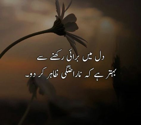 Achi Batain In Urdu, Achi Batain, Golden Words, Impress Quotes, Urdu Love Words, Good Attitude Quotes, Thought Provoking Quotes, Urdu Quotes With Images, Islamic Posters