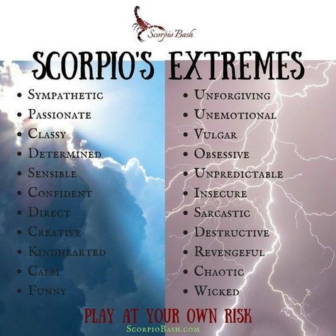 Zodiac Quotes Scorpio, Astrology Scorpio, Enneagram 4, Scorpio Traits, Scorpio Zodiac Sign, Titan Fanart, Scorpio Love, Scorpio Zodiac Facts, Scorpio Quotes