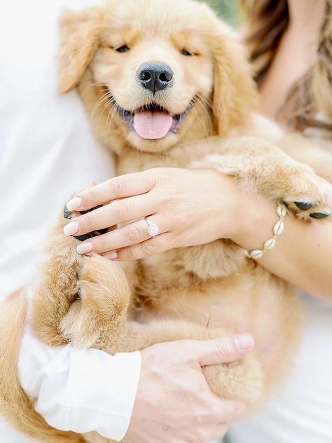 Proposal With Puppy, Puppy Engagement Pictures, Engagement Photos With Puppy, Valentines Engagement Photos, Dog Wedding Pictures, Engagement Pictures With Dog, Puppy Proposal, Ocean City New Jersey, Proposal Photoshoot