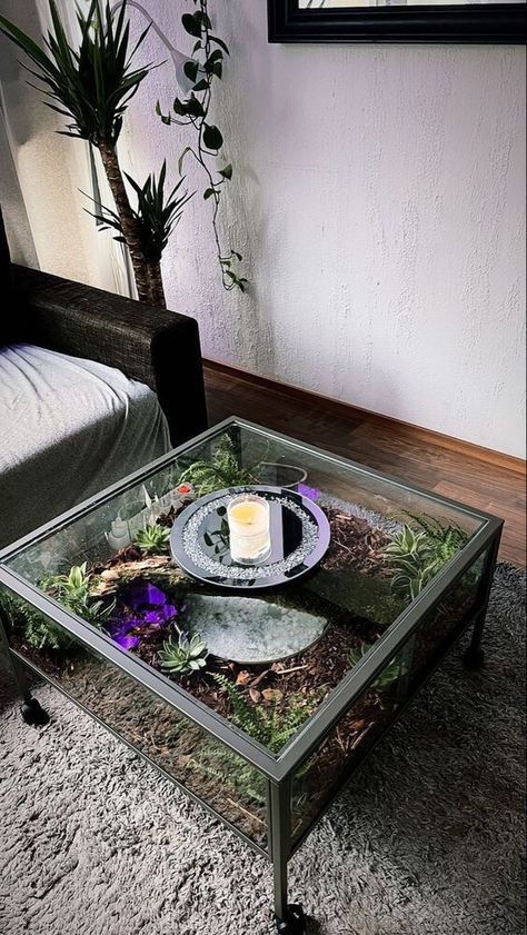 43 Amazing Plant Table Ideas - 286 Plant Terrarium Table, Diy Coffee Table Terrarium, Moss Garden Coffee Table, Terrarium Coffee Table Diy, Terrarium Table Diy, Plant Table Ideas, Moss Coffee Table, Dog Room In Garage, Terrarium Coffee Table