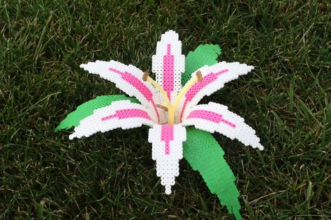 Perler Flower, Harry Potter Perler Beads, Hama Beads 3d, Hama Art, 3d Perler Bead, Pony Bead Patterns, Hama Beads Design, Hama Bead, Hama Beads Patterns