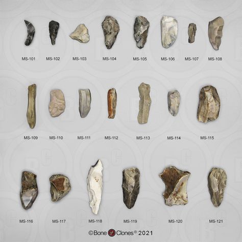 Early Humans Tools, Iron Cleaning, Ancient Artifacts Prehistoric, Collecting Rocks, Paleolithic Period, Stone Age Tools, Indian Stone, Paleo Indians, Native American Tools