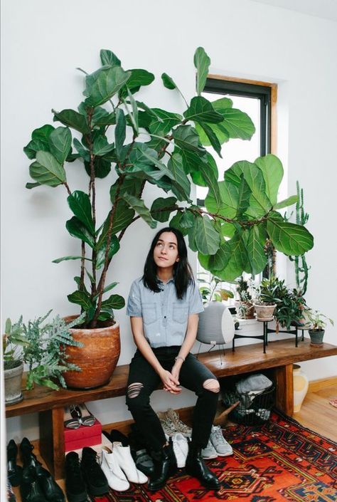 such an amazing plant Interior Plants, Fiddle Leaf Fig, Lower East Side, Diy Planters, Boho Home, Plant Life, Indoor Garden, Plant Decor, Interior Inspiration