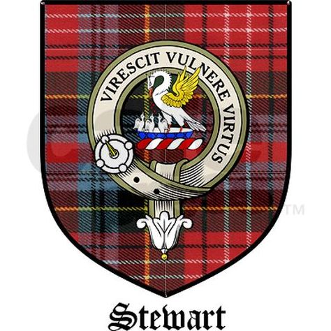 virescit.vulnere.virtus Clan Tattoo, House Of Stuart, Scottish Ancestry, Scotland Forever, Scottish Culture, Celtic Heritage, Celtic Symbols, Scottish Clans, Woodland Theme