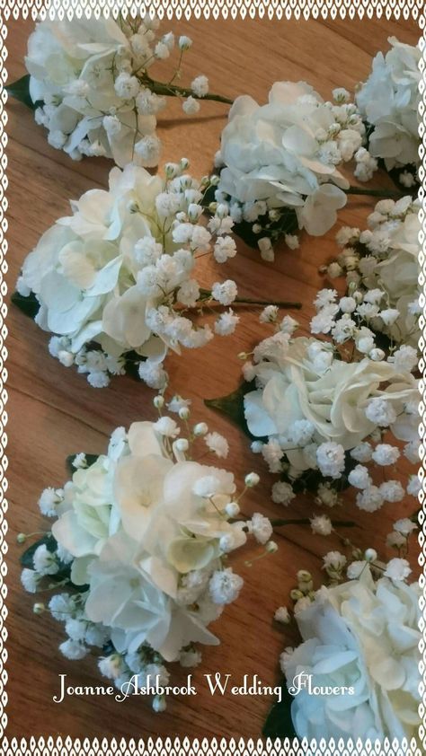 Hydrangea and gypsophilia buttonholes White Hydrangea Boutonniere, Babysbreath Hydrangea Bouquet, Hydrangea Buttonhole, Hydrangea Corsage, Hydrangea Wedding Flowers, Hydrangea Boutonniere, White Hydrangea Bouquet, White Hydrangea Wedding, Gypsophila Bouquet