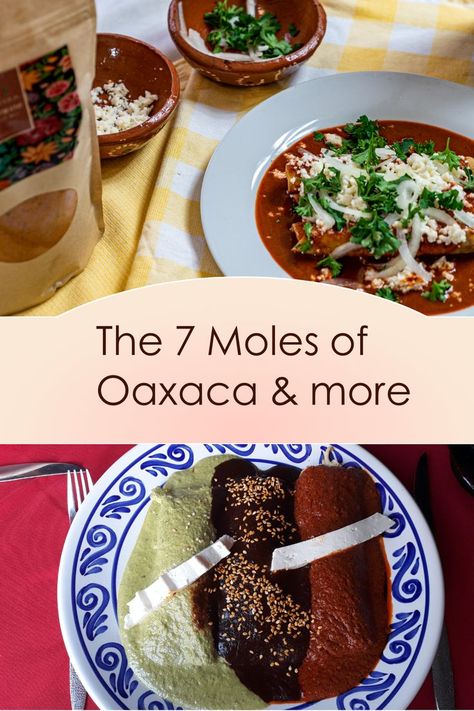 Pati Jinich Mole Recipes, Oaxaca Mole Recipe, Leftover Mole Recipes, Authentic Mole Recipe, Mole Sauce Authentic, Authentic Mole Recipe Mexico, Spicy Mole Recipe Mexican, Oaxacan Mole Recipe, Vegetarian Mole Recipe