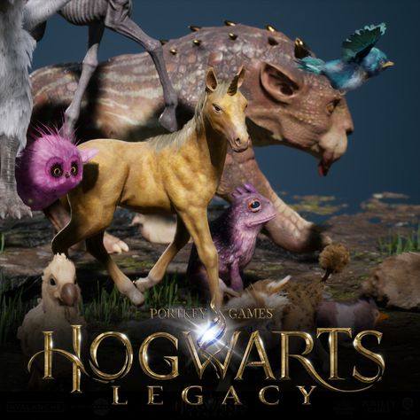 Baby Beasts - Hogwarts Legacy, ryan kidd on ArtStation at https://www.artstation.com/artwork/Ry4Lyr Hogwarts Legacy Dragon, Hogwarts Legacy Beasts, Hogwarts Legacy Creatures, Hogwarts Legacy Field Guide, Hogwarts Legacy Gameplay, Hogwart Legacy, The Offspring, Hogwarts Legacy, Baby Unicorn