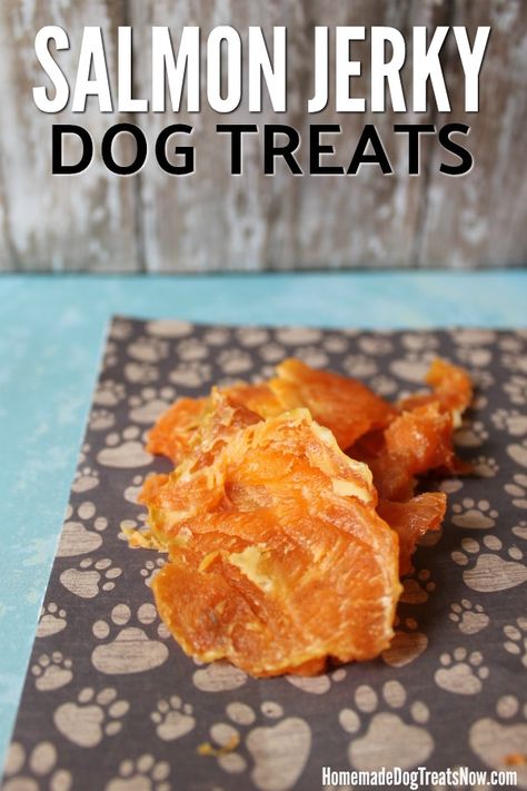 Allergy Free Dog Treat Recipes, Homemade Dog Treats For Dogs With Allergies, Salmon Treats For Dogs, Dehydrated Salmon For Dogs, Salmon Dog Treats Homemade, Dog Jerky Recipes, Dehydrated Dog Treats Recipes, Grain Free Dog Treat Recipes, Dehydrator Dog Treats