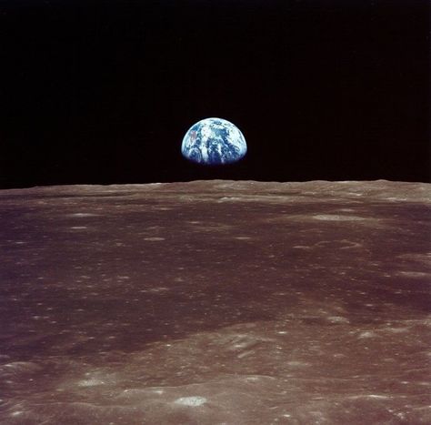 earthrise_Apollo_11 Moon Landing Photos, Apollo 11 Crew, Apollo Space Program, Apollo 11 Moon Landing, Apollo 11 Mission, Bbc Earth, Pale Blue Dot, Nasa Apollo, Apollo Missions