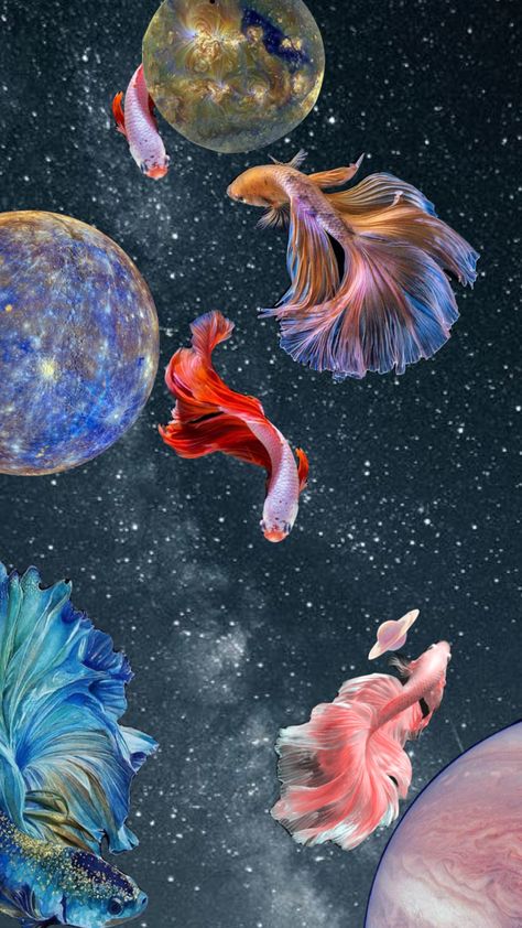 #myfirstshuffle #fish #space space fish Fish In Sky Art, Space Fish Art, Fish Surrealism, Koi Fish Background, Fish In Space, Fish Digital Art, Fish References, Cutout Animation, Gym Mural