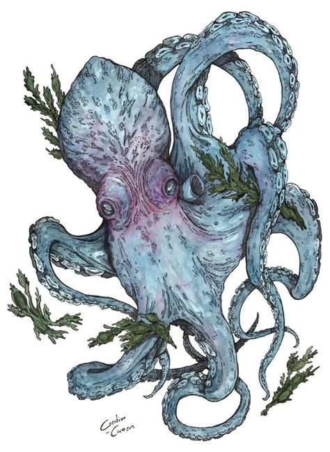 Kraken Artwork, Kraken Mythology, Ocean Monster Art, Kraken Art Illustrations, Kraken Watercolor, Kraken Painting, Kracken Drawings, Kraken Illustration, Kraken Aesthetic