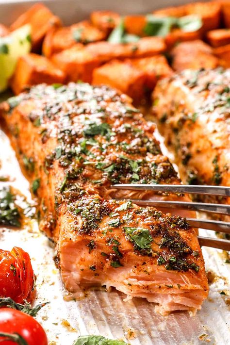 Baked Cilantro Lime Salmon, Lime Salmon Recipes Oven Baked, Salmon Recipes Cilantro, Salmon Lime Cilantro, Salmon Recipes Cilantro Lime, Salmon Cilantro Recipes, Salmon With Cilantro Lime Sauce, Salmon With Lime And Cilantro, Salmon And Lime Recipes