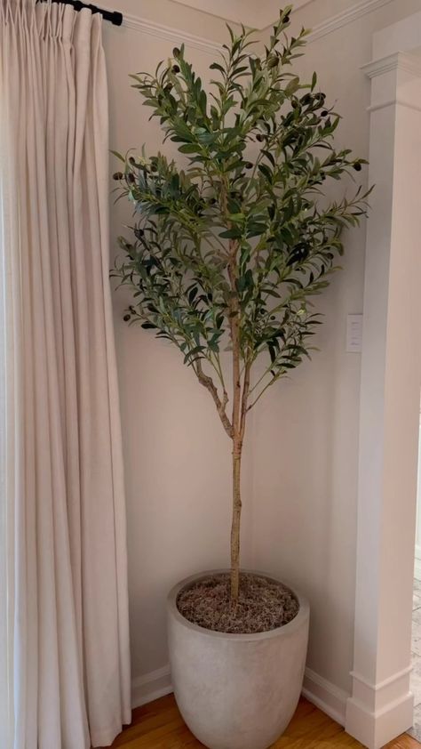 Love the look of the PB olive tree, but don’t love the price tag? I got you 🫶🏼 links in my highlights #founditonamazon #amazonfinds… | Instagram Nursery Olive Tree, Olive Tree In Bedroom, Olive Tree Bedroom, Olive Tree Nursery, Olive Tree Indoor, Olive Tree In Pot, Tree Bedroom, Door Tree, Nik Naks