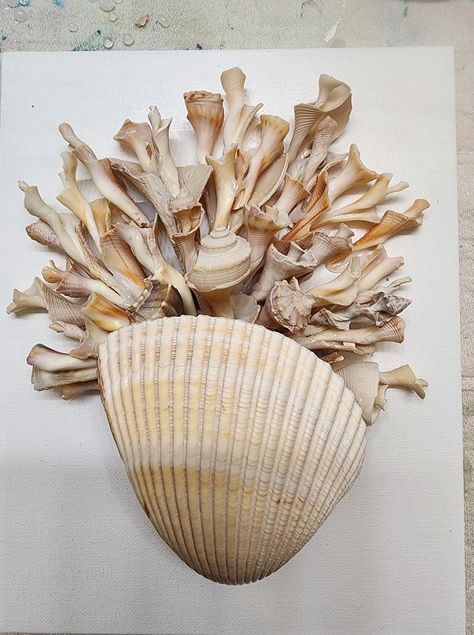 Large Clam Shell Crafts, Pista Shell Crafts Diy, Seashell Arrangements, Clam Shell Crafts, Shell Crafts Kids, Large Clam Shell, Seashell Gifts, Sand Dollar Craft, Pista Shell Crafts