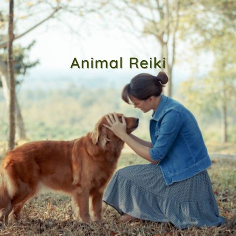 Healing Yourself, Zen Life, Animal Reiki, Chi Energy, Reiki Healer, Animal Spirit Guides, Healing Spirituality, Shakti Goddess, Animal Spirit