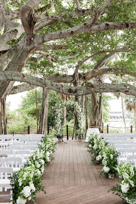 Sage Green Wedding Venue Decorations, Wedding Venues Sage Green, Botanical Garden Wedding Florida, Charleston South Carolina Wedding Venues, Outdoor Wedding Florida, Wedding Venue Sage Green, Sage Green Venue Wedding, Sage Wedding Aesthetic, Florida Wedding Aesthetic