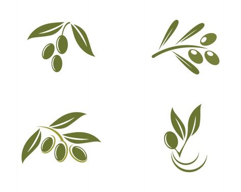 Premium Vector | Olive oil production set. from trees to bottles. Olive Logo, Olive Branch Wreath, Logo Hipster, Plant Logos, Tree Logo Design, Wine Bottle Design, Festival Logo, Drop Logo, Tree Vector