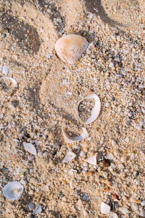 Sand Up Close, Sand Close Up, Weird Inspiration, Octopus Tentacles, Inland Empire, Ocean Theme, Close Up Pictures, Ocean Themes, Reference Images