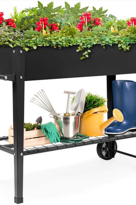 Get all the benefits of a standing height plant bed with the mobility of a cart. #spring #springtime #garden #gardening #gardeningisnotcancled #outdoor #outdoors #outdoorliving #outdoorlife #plants Raised Garden Beds Planting, Patio Garden Bed, Vege Garden, Metal Garden Beds, Elevated Planter Box, Metal Cart, Elevated Gardening, Raised Planter Beds, Metal Raised Garden Beds