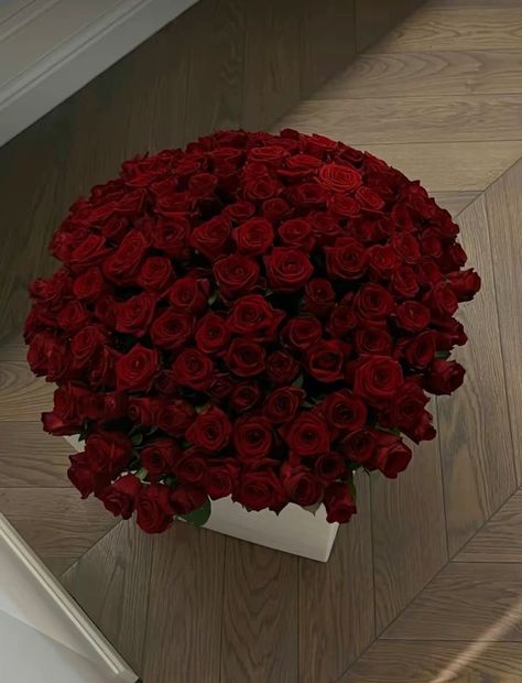 2024 Energy, Flower Aesthetics, Roses Bouquet Gift, Rose Pic, Aesthetic Rose, Luxury Flower Bouquets, Birthday Goals, Red Rose Bouquet, Boquette Flowers