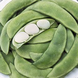 Heirloom Lima Bean Seeds - Organic & Non-GMO Lima Bean | Seed Savers Exchange Fresh Lima Beans, Freezing Butter, Cooking Lima Beans, Bean Varieties, Seeds Color, Lima Bean, Bush Beans, Pole Beans, Broad Bean