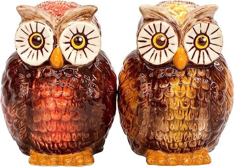 Amazon.com: Owls Ceramic Salt and Pepper Shaker Set: Collectible Figurines: Home & Kitchen Porcelain Kitchen Sink, Cool Stuff To Buy, Whimsical Kitchen, Ceramic Salt And Pepper, Whimsical Owl, Owl Theme, Colorful Owls, Vintage Owl, Unique Kitchen