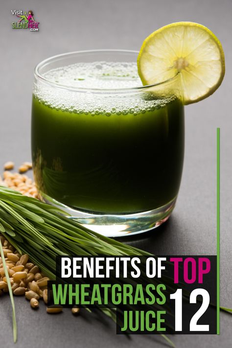 Benefits Of Wheatgrass Powder, Wheat Grass Smoothie, Wheat Grass Benefits, Wheatgrass Benefits, Wheatgrass Juice, Wheatgrass Powder, Fertility Tips, Barley Grass, Father God