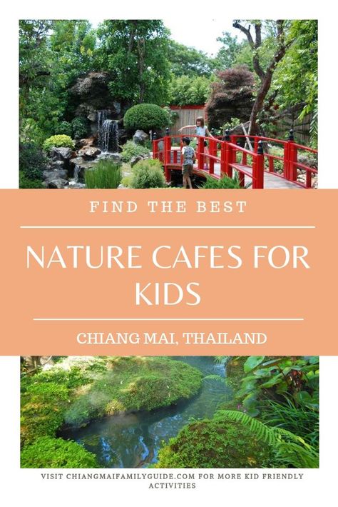 Visit the coolest nature cafes in Chiang Mai that are family friendly! #chiangmai #familyfriendly #kidfriendly #cafeschiangmai #thailand #familytravelthailand #chiangmaiwithkids Carp Cafe Chiang Mai, Family Breakfast, Kid Friendly Activities, Chiang Mai Thailand, Cool Cafe, Krabi, Chiang Mai, Thailand Travel, Amazing Nature